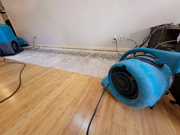 Professional Sewage Cleanup technician working in Dixon, CA
